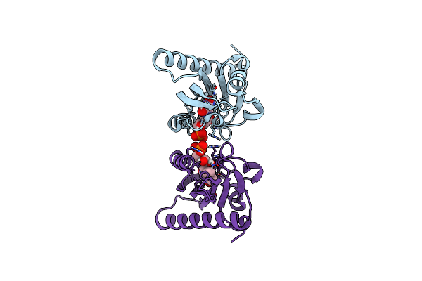 4WF0 image