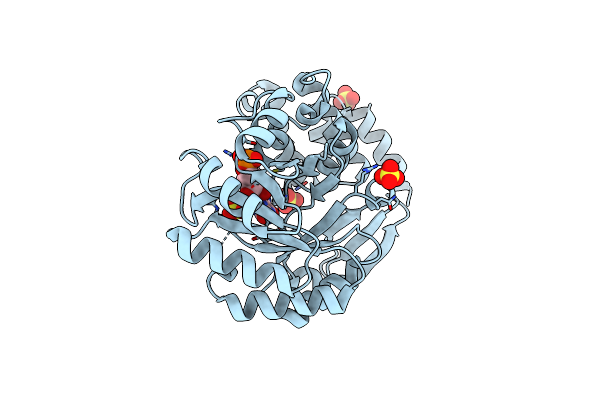 4WFS image