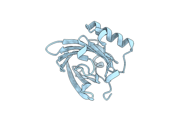 4WFV image