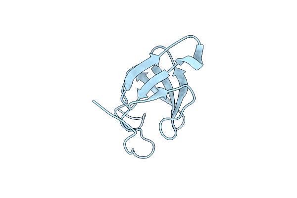 4WFW image