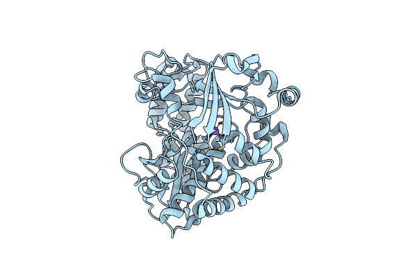 4WFZ image