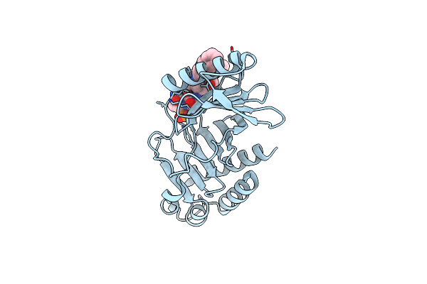 4WHK image