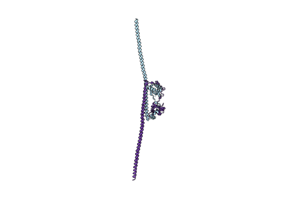 4WIK image