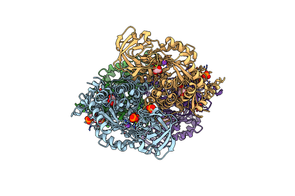 4WJ8 image