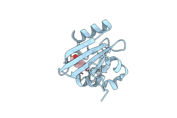 4WLA image