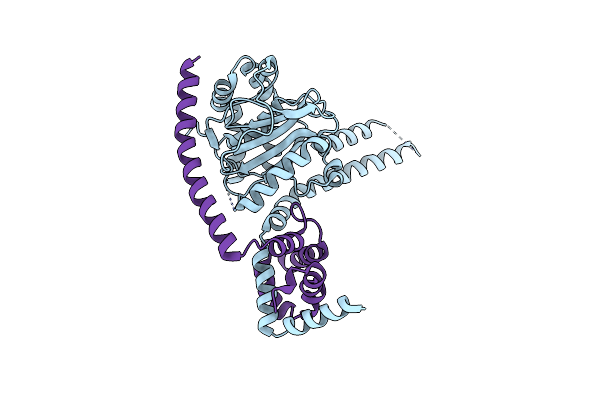4WLP image