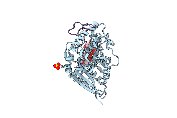 4WMA image