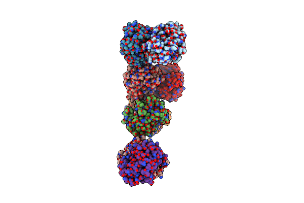 4WMC image