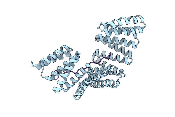 4WNG image