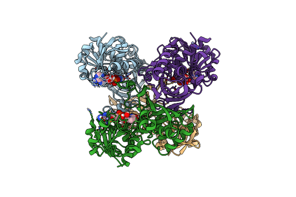 4WNI image