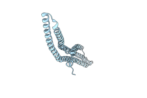 4WPE image