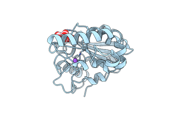 4WPK image