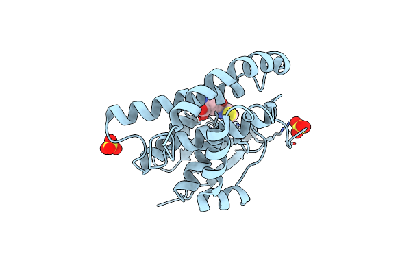 4WR4 image