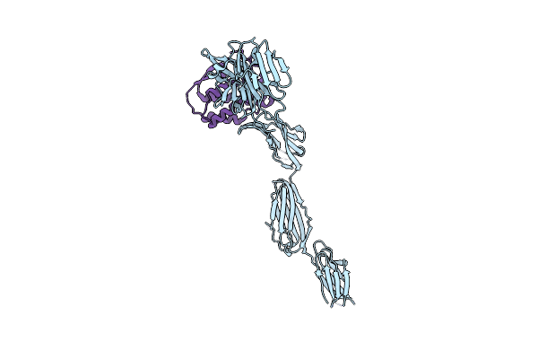 4WRM image