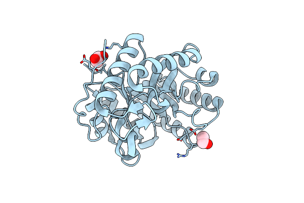 4WTP image