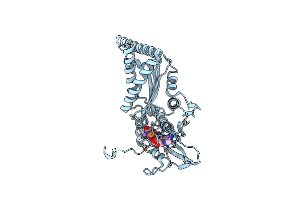 4WUC image