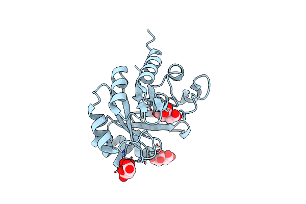 4WUI image