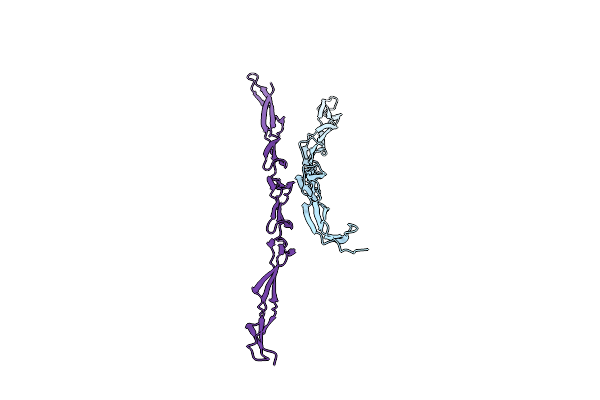 4WVE image