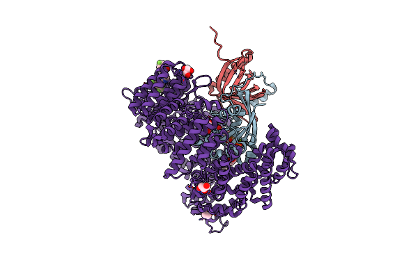 4WVF image