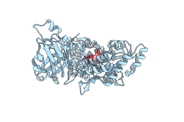 4WVG image