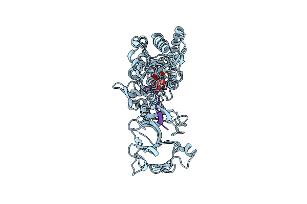 4WVI image
