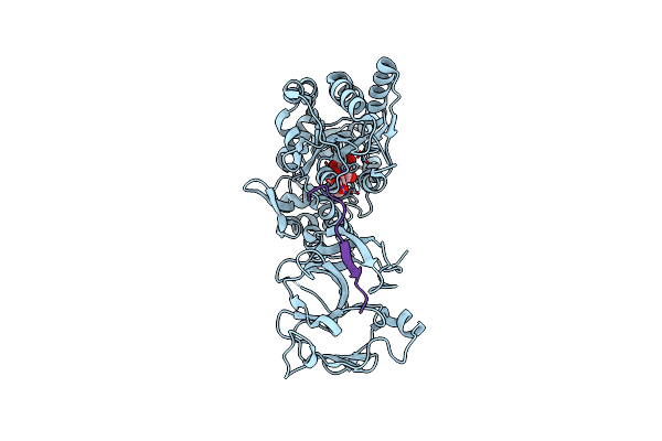 4WVJ image