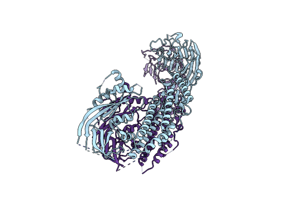 4WVM image