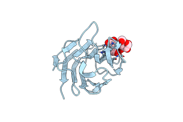 4WVV image