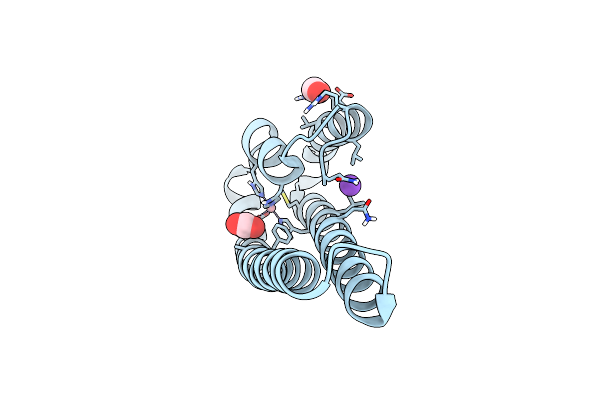 4WWD image