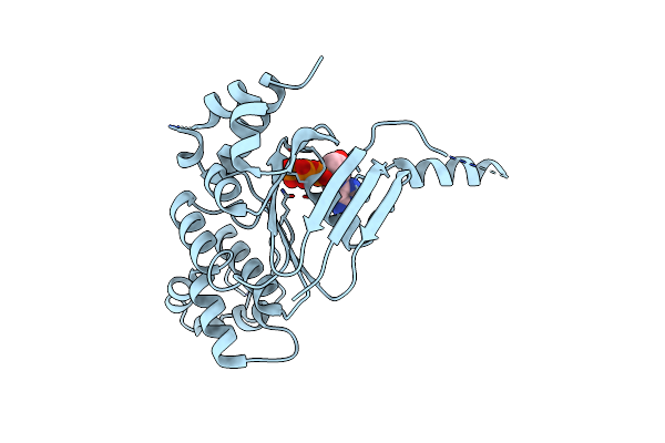 4WZ6 image