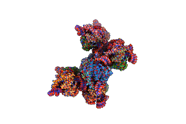 4WZJ image