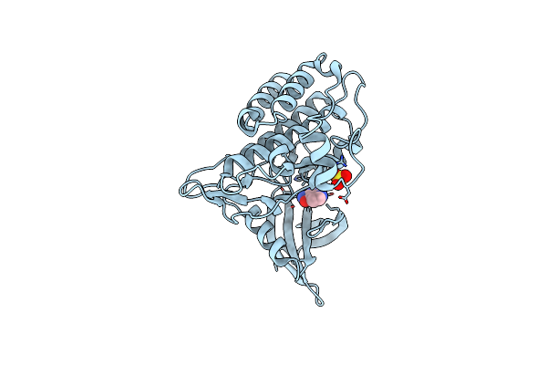 4X0M image