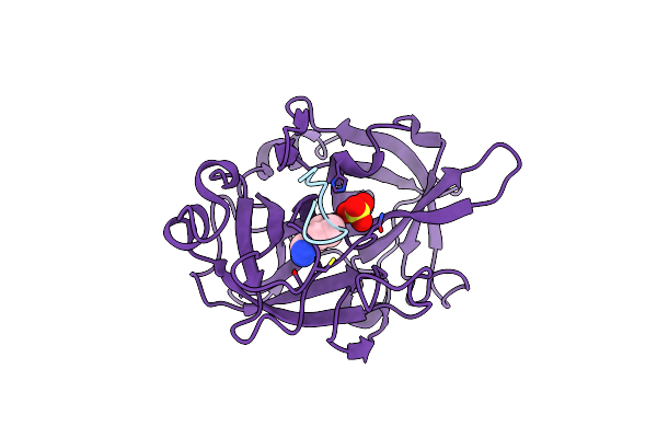 4X0W image