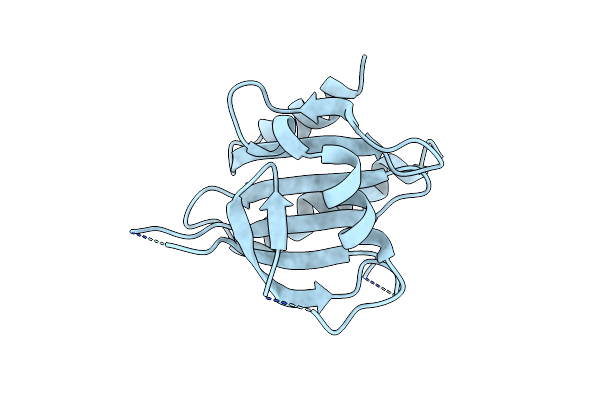 4X1M image