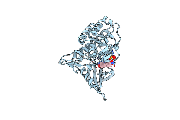 4X2F image