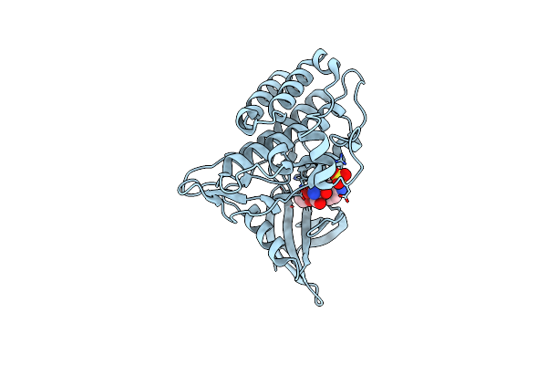 4X2G image
