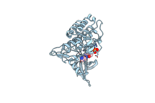 4X2K image