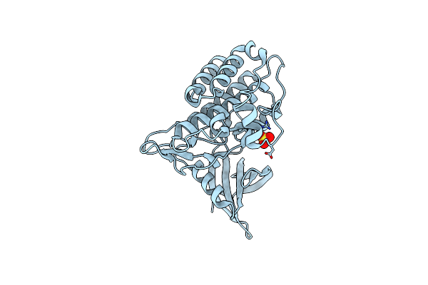 4X2N image