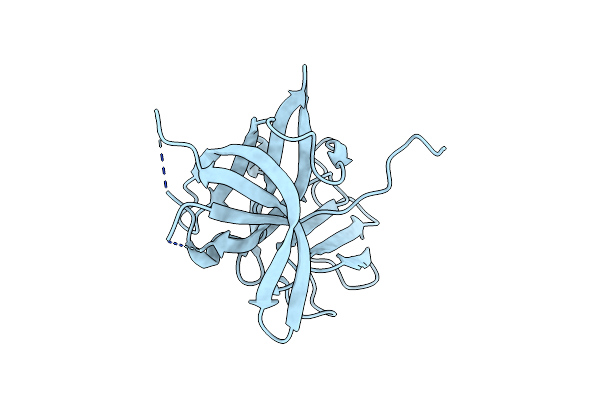 4X2X image