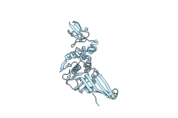 4X2Z image