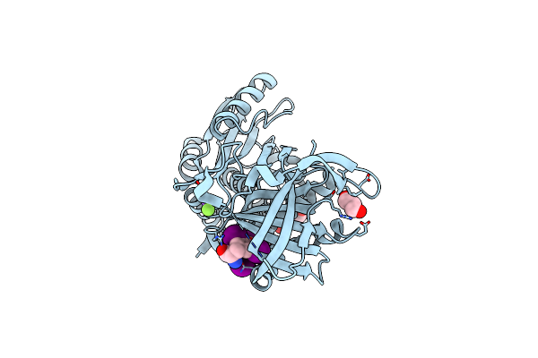 4X30 image
