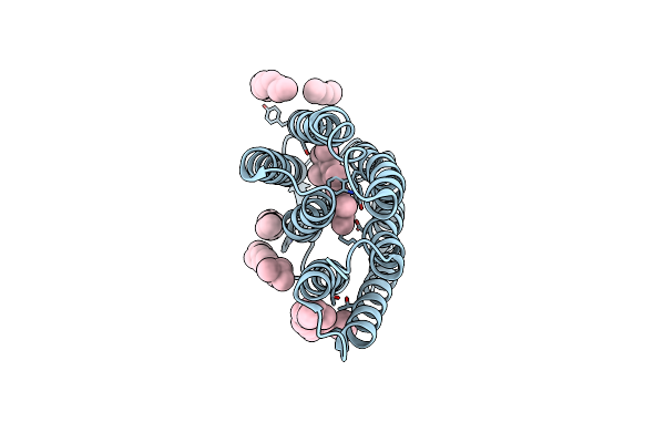 4X31 image