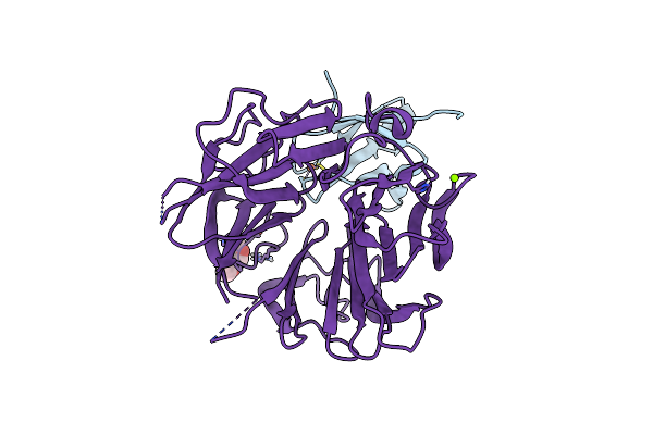4X33 image