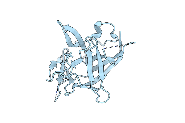 4X38 image