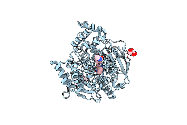 4X3C image