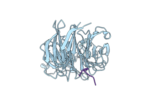 4X3E image