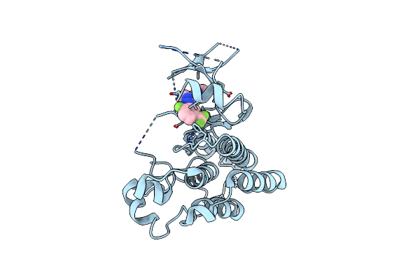 4X3J image