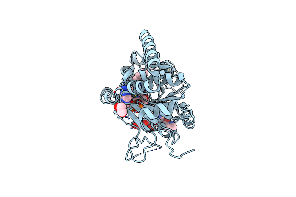 4X3P image