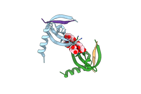 4X3S image