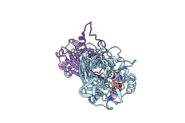 4X41 image